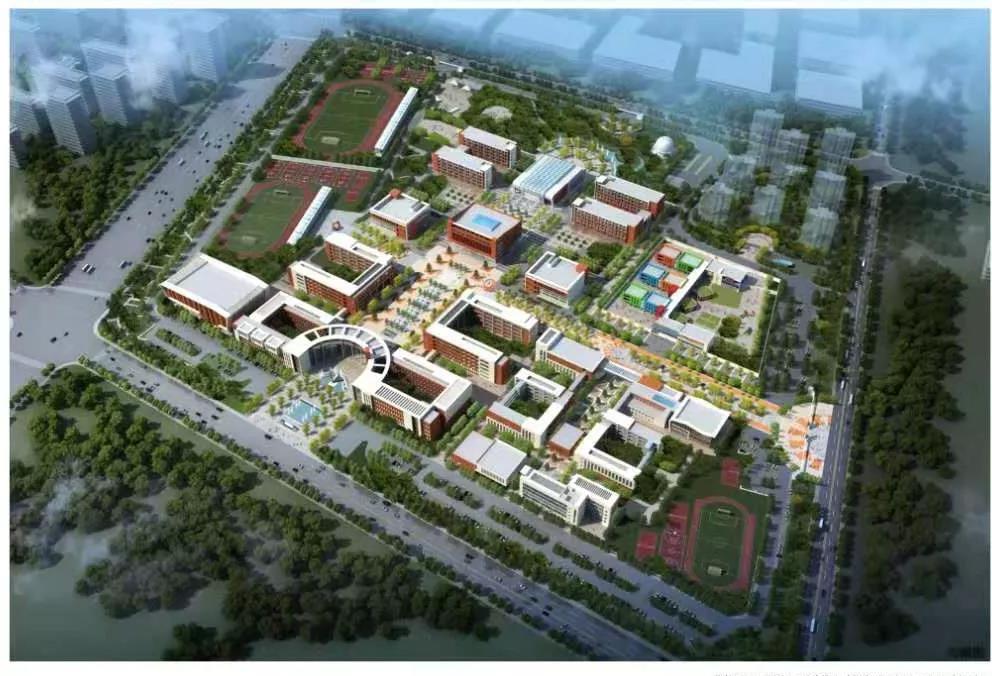 1577694611898948dI69.jpg 5.jpg